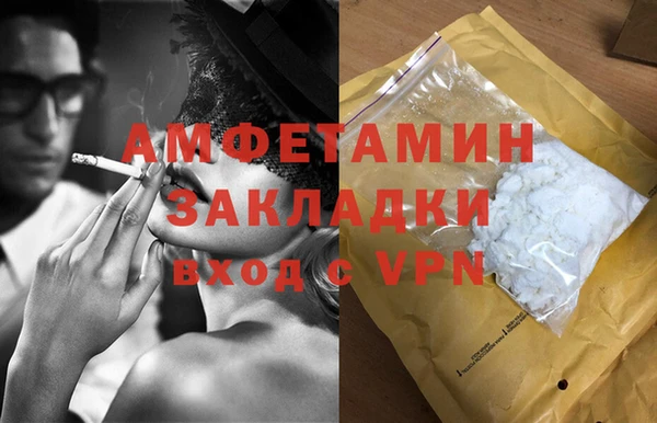 крисы Бронницы