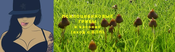 jwh Бугульма